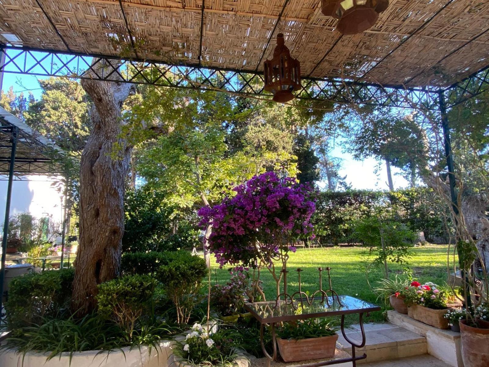 Tenuta Belvedere โอตรันโต ภายนอก รูปภาพ